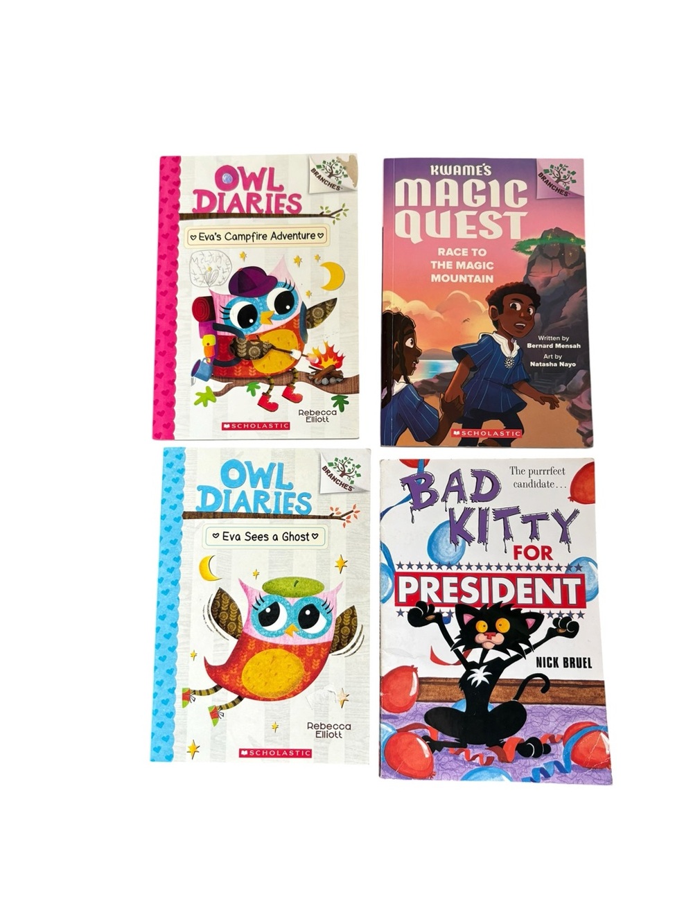 3/$25 Kids Chapter Book Bundle Owl Diaries Bad Kitty Kwame’s Magic Quest 4 Books